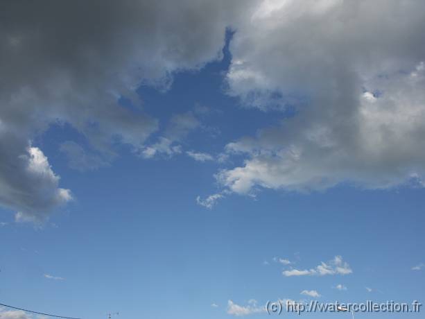 2004-08-20 18-28-51 Nature 32,0mm 1_320_eme F7,1 